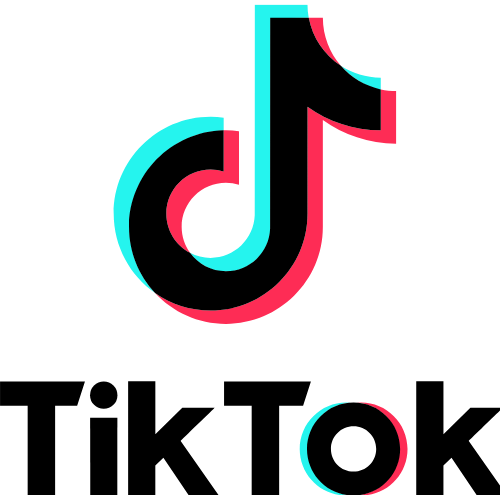 tiktok reklamları